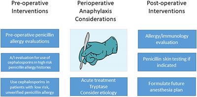 Penicillin Allergy and Perioperative Anaphylaxis